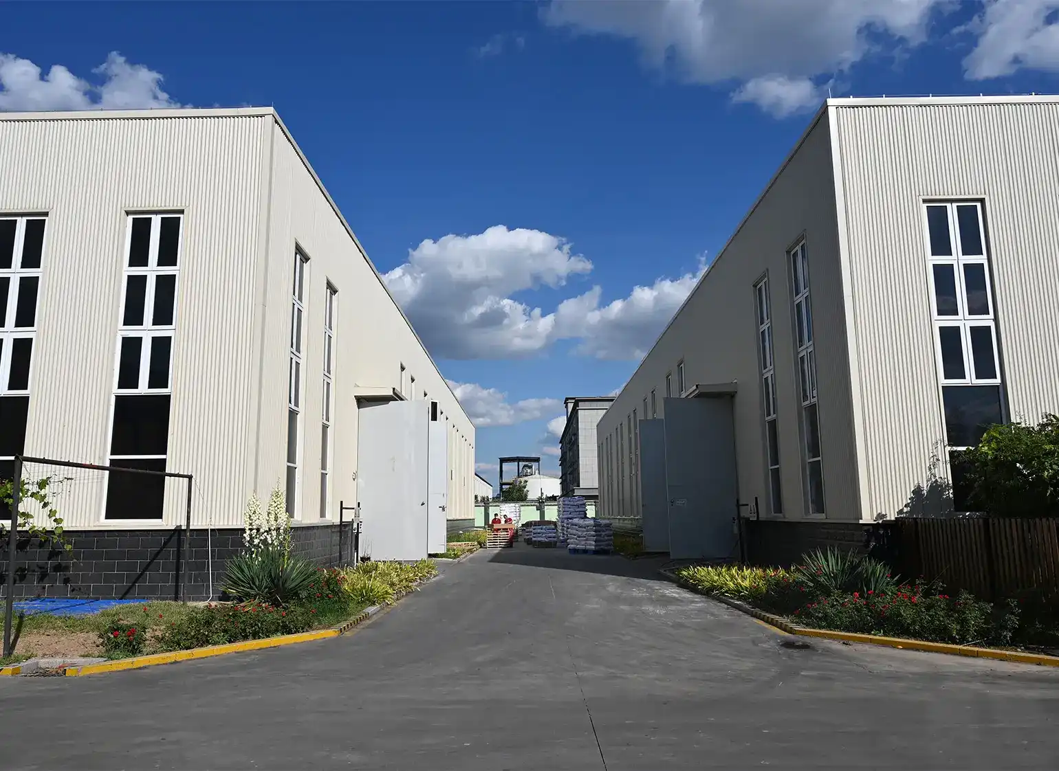 叙利亚公司环境