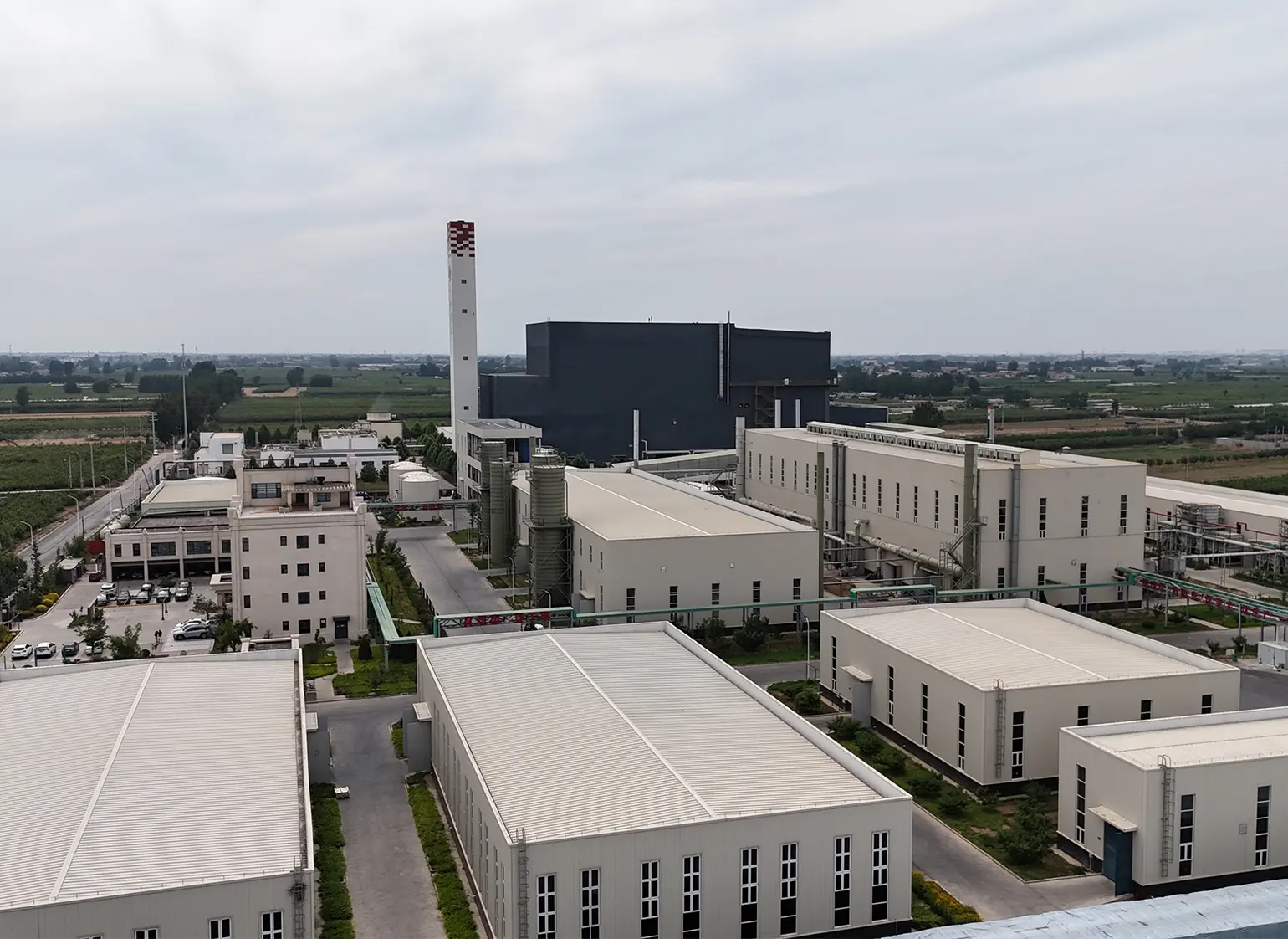 Company environment